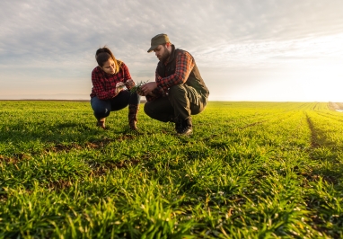 Image of a man and woman analyzing data in pasture. 